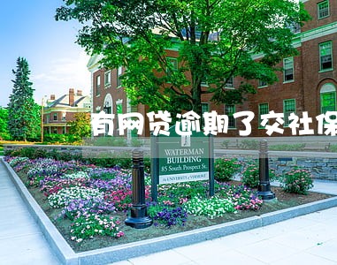 有网贷逾期了交社保有影响么 有网贷逾期了交社保有影响么