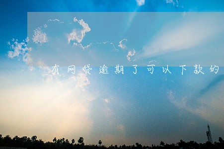 有网贷逾期了可以下款的口子 有网贷逾期了可以下款的口子