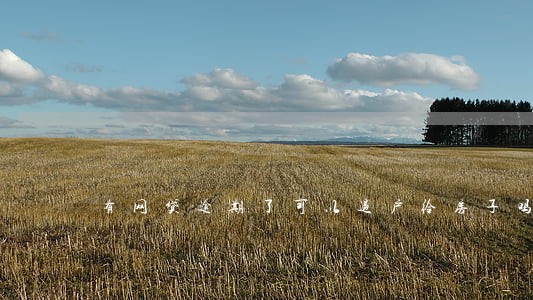 有网贷逾期了可以过户给房子吗 有网贷逾期了可以过户给房子吗