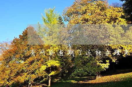 有网贷逾期了还能办理车贷吗 有网贷逾期了还能办理车贷吗