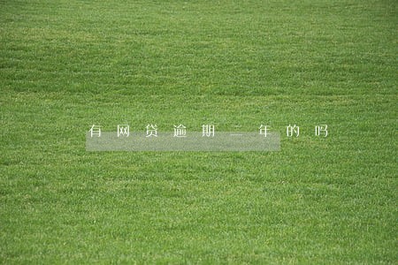 有网贷逾期二年的吗 有网贷逾期二年的吗