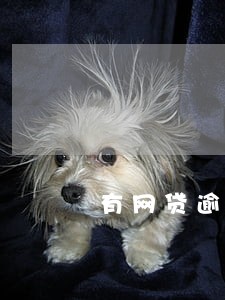 有网贷逾期从哪里贷款青岛 有网贷逾期从哪里贷款青岛