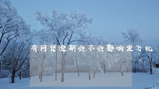 有网贷逾期会不会影响坐飞机 有网贷逾期会不会影响坐飞机