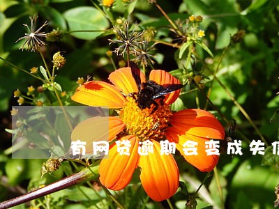 有网贷逾期会变成失信人吗 有网贷逾期会变成失信人吗