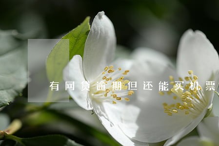 有网贷逾期但还能买机票 有网贷逾期但还能买机票