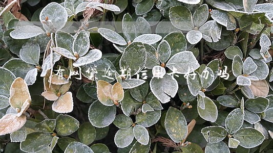 有网贷逾期信用卡好办吗 有网贷逾期信用卡好办吗