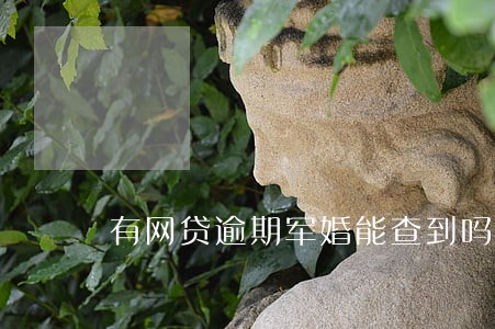 有网贷逾期军婚能查到吗 有网贷逾期军婚能查到吗