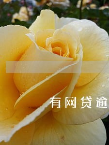有网贷逾期可以交社保吗 有网贷逾期可以交社保吗