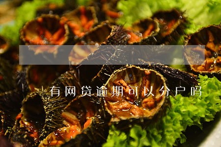 有网贷逾期可以分户吗 有网贷逾期可以分户吗