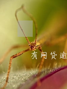 有网贷逾期可以开对公账户吗 有网贷逾期可以开对公账户吗