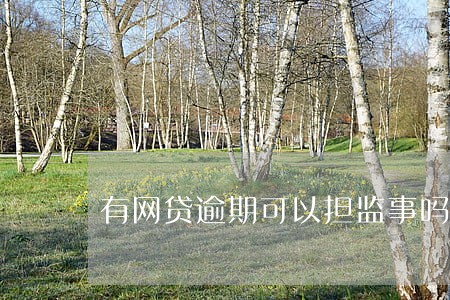 有网贷逾期可以担监事吗 有网贷逾期可以担监事吗