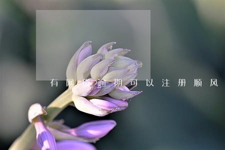 有网贷逾期可以注册顺风车主吗 有网贷逾期可以注册顺风车主吗
