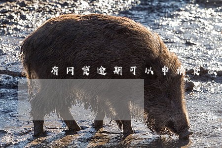 有网贷逾期可以申请贷款买房吗 有网贷逾期可以申请贷款买房吗