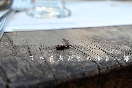 有网贷逾期可以给别人银行担保吗 有网贷逾期可以给别人银行担保吗