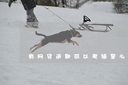 有网贷逾期可以考辅警么 有网贷逾期可以考辅警么
