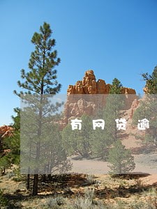 有网贷逾期可以贷款买房嘛 有网贷逾期可以贷款买房嘛
