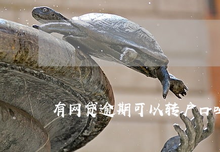 有网贷逾期可以转户口吗 有网贷逾期可以转户口吗