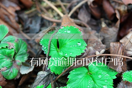 有网贷逾期可以过户吗 有网贷逾期可以过户吗