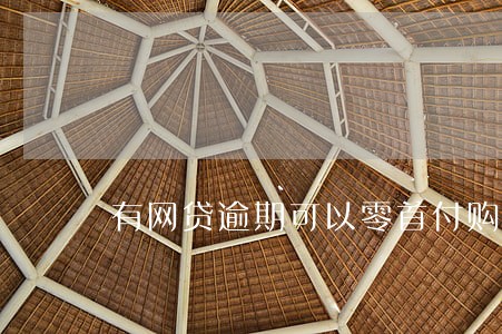 有网贷逾期可以零首付购车吗 有网贷逾期可以零首付购车吗