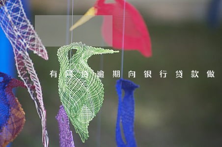 有网贷逾期向银行贷款做生意 有网贷逾期向银行贷款做生意