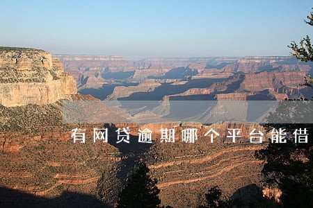 有网贷逾期哪个平台能借到钱 有网贷逾期哪个平台能借到钱