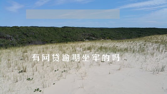 有网贷逾期坐牢的吗