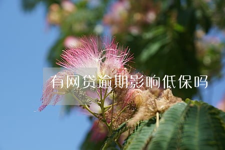 有网贷逾期影响低保吗 有网贷逾期影响低保吗