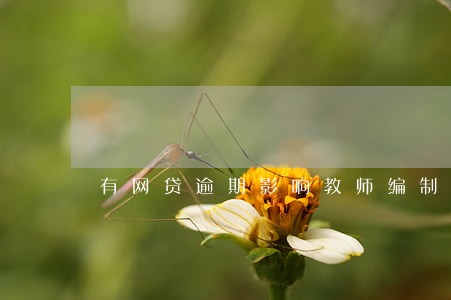 有网贷逾期影响教师编制政审吗 有网贷逾期影响教师编制政审吗