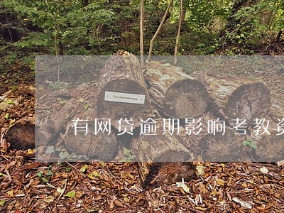 有网贷逾期影响考教资吗
