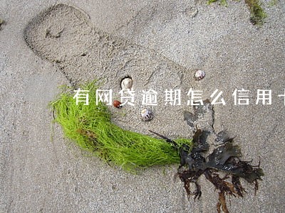 有网贷逾期怎么信用卡被冻结了 有网贷逾期怎么信用卡被冻结了