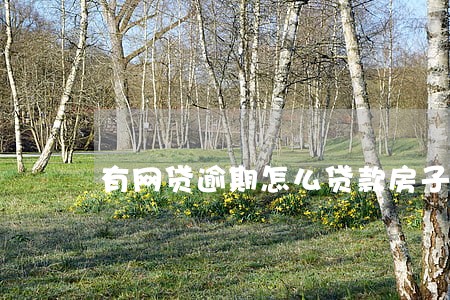 有网贷逾期怎么贷款房子 有网贷逾期怎么贷款房子