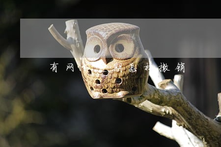 有网贷逾期怎样撤销 有网贷逾期怎样撤销