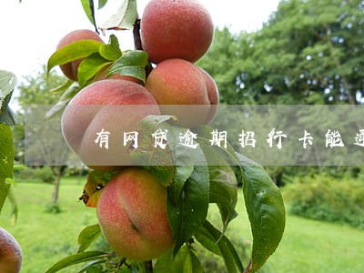 有网贷逾期招行卡能通过吗 有网贷逾期招行卡能通过吗
