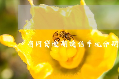 有网贷逾期捷信手机分期付款吗 有网贷逾期捷信手机分期付款吗