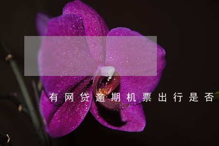有网贷逾期机票出行是否有影响 有网贷逾期机票出行是否有影响