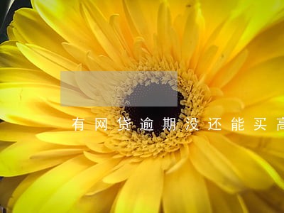 有网贷逾期没还能买高铁票吗 有网贷逾期没还能买高铁票吗