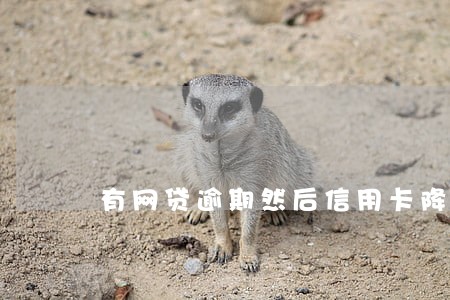 有网贷逾期然后信用卡降额 有网贷逾期然后信用卡降额
