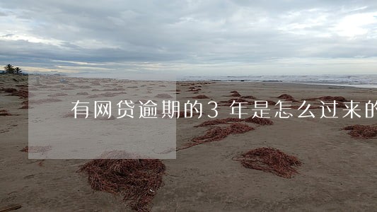 有网贷逾期的3年是怎么过来的 有网贷逾期的3年是怎么过来的
