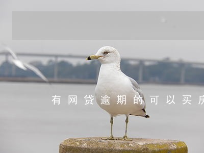 有网贷逾期的可以买房不 有网贷逾期的可以买房不