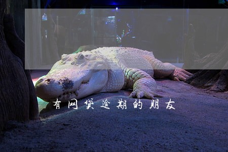 有网贷逾期的朋友 有网贷逾期的朋友