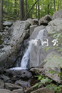 有网贷逾期的能出国吗 有网贷逾期的能出国吗