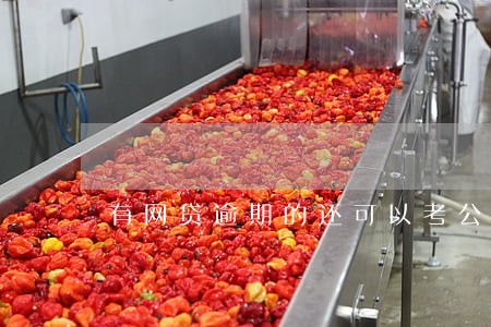有网贷逾期的还可以考公办老师吗 有网贷逾期的还可以考公办老师吗