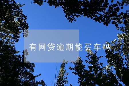 有网贷逾期能买车吗 有网贷逾期能买车吗