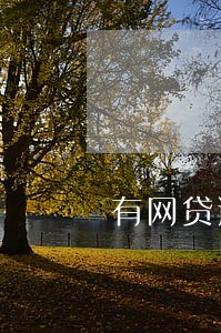 有网贷逾期能做捷信分期付款吗 有网贷逾期能做捷信分期付款吗