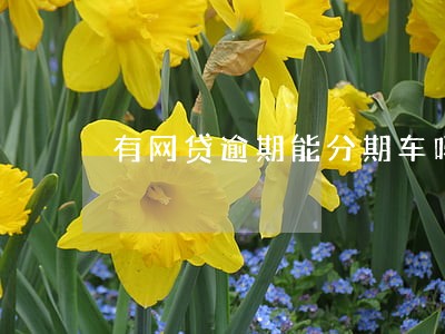 有网贷逾期能分期车吗 有网贷逾期能分期车吗