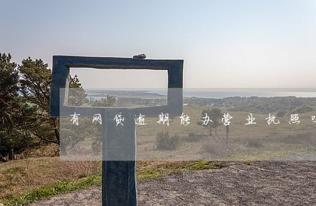 有网贷逾期能办营业执照吗 有网贷逾期能办营业执照吗