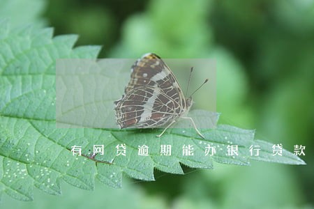 有网贷逾期能办银行贷款吗 有网贷逾期能办银行贷款吗
