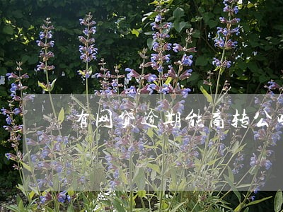 有网贷逾期能商转公吗 有网贷逾期能商转公吗