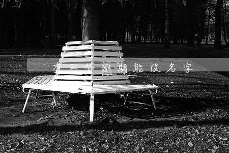 有网贷逾期能改名字 有网贷逾期能改名字