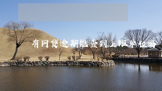 有网贷逾期能查到上班单位吗 有网贷逾期能查到上班单位吗